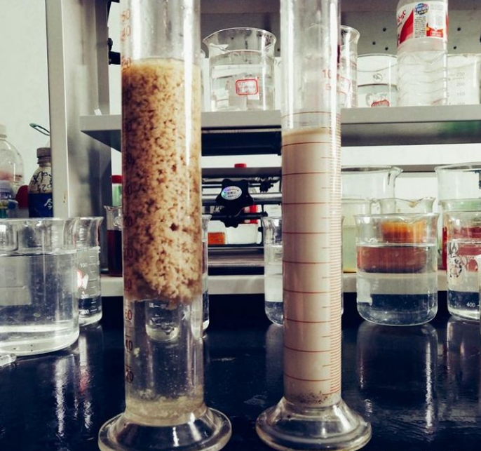 聚丙烯酰胺實驗 聚丙烯酰胺實驗