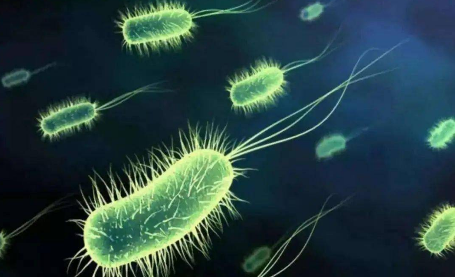 ΢������N