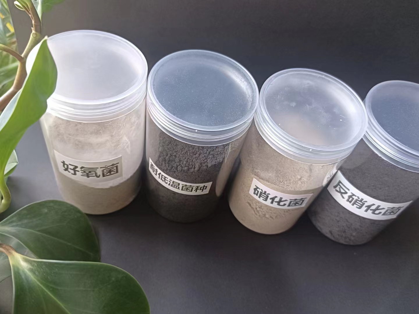 ΢������N